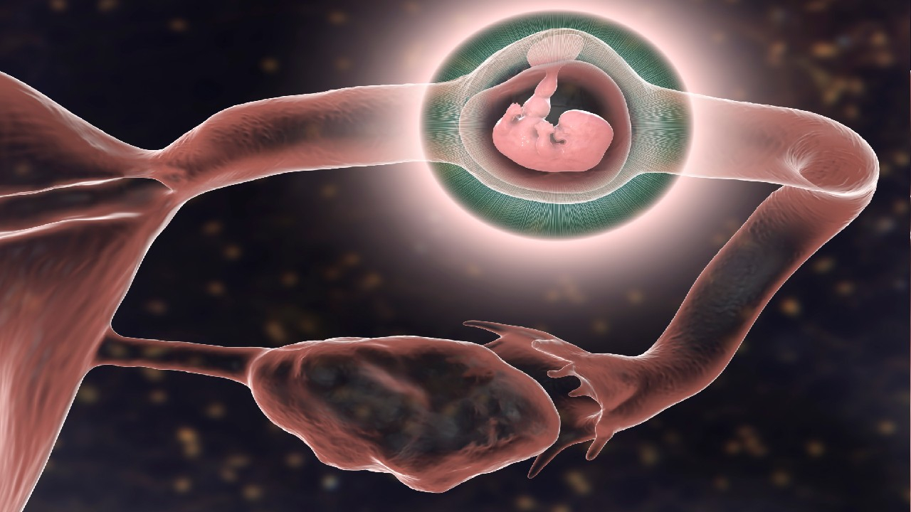 Ektopinis nėštumas – tai nėštumas, kai apvaisintas kiaušinėlis prisitvirtina už gimdos ribų, dažniausiai kiaušintakyje.