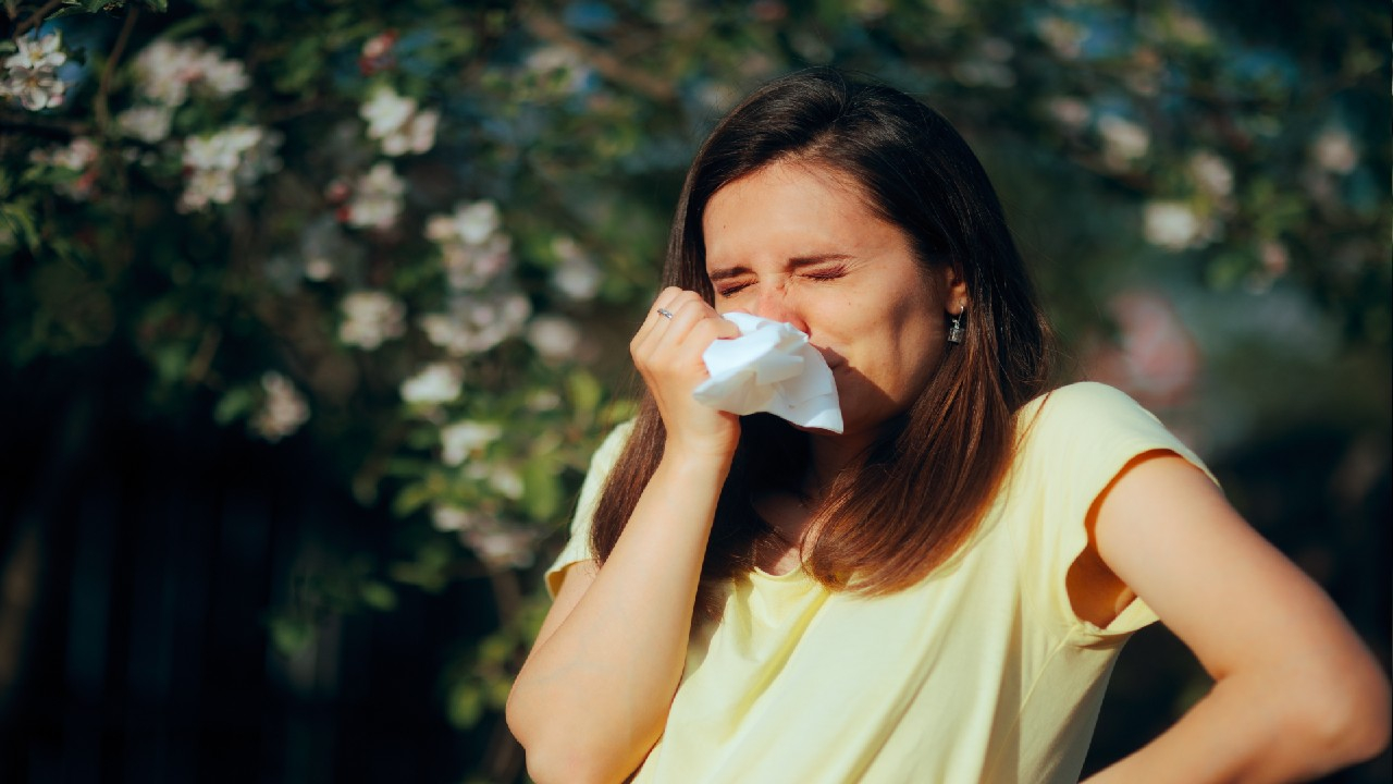 Alerginė sloga – nosies gleivinės uždegimas, atsirandantis dėl alergijos, sukeliantis čiaudulį, užgulimą, niežėjimą ir gausesnį išskyrų tekėjimą.