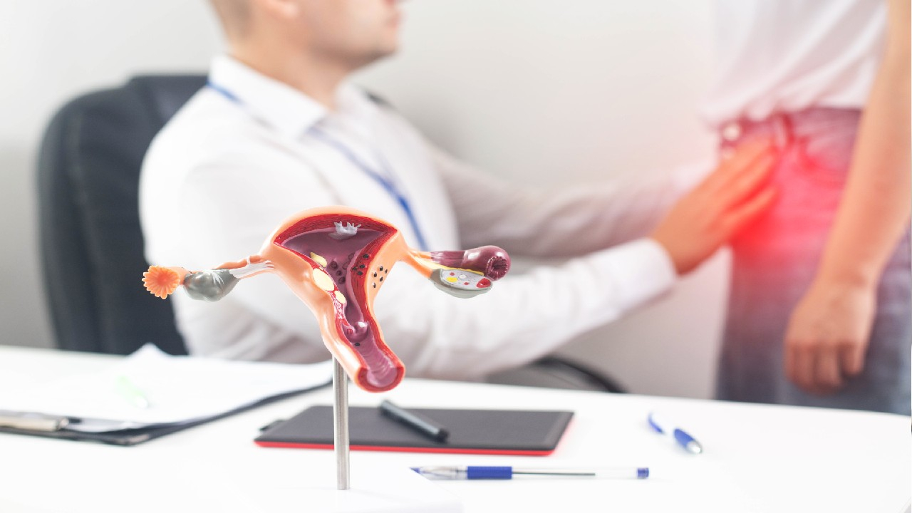 Gimdos gleivinės uždegimas (endometritas) – tai infekcinė būklė, kai uždegimas pažeidžia gimdos vidinę gleivinę (endometriumą).